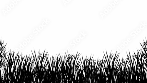 Vector silhouette illustration of dense grass blades forming a border against a white background landscape view