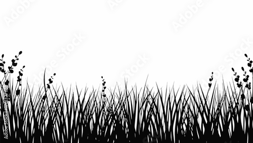 Vector silhouette of grass and plants against a white background creating a natural and minimalist landscape