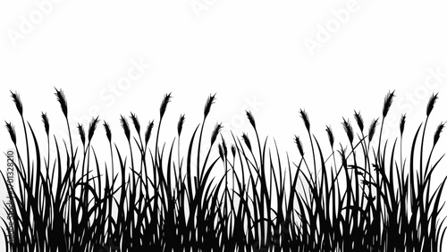 Vector silhouette illustration of dense grass reeds against a white background creating a natural border effect