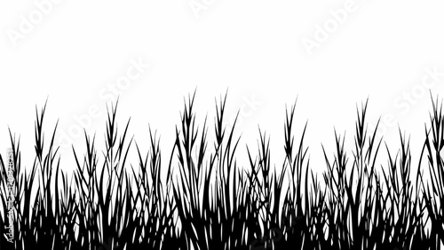Vector silhouette of dense grass blades against a white background creating a natural border or edge design