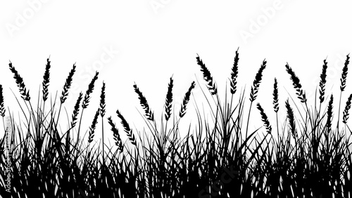 Vector silhouette illustration of a field of tall grass and wheat against a white background in a simple style