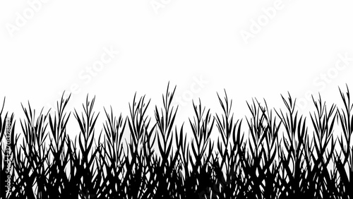 Vector silhouette of dense grass blades against a white background creating a natural border effect design element