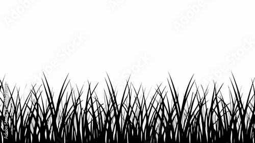 Vector black silhouette of grass blades against a white background creating a simple and natural looking design