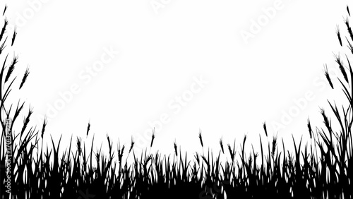 Vector silhouette illustration of grass and wheat stalks against a white background creating a border effect