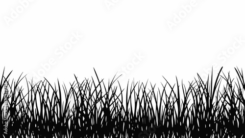 Vector silhouette illustration of dense grass blades against a plain white background creating a natural border