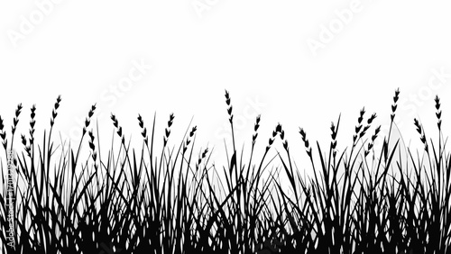 Vector silhouette illustration of a field of tall grass with seed heads against a plain white background image