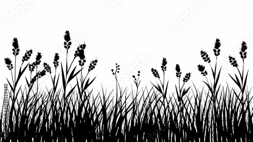 Vector silhouette of tall grass and flowering plants against a white background creating a natural border design