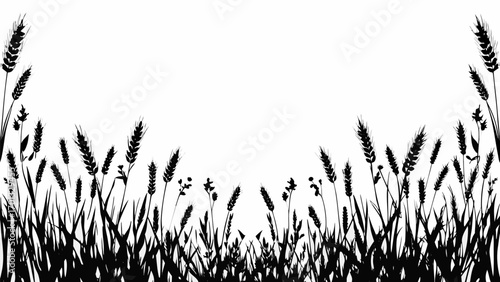 Vector silhouette illustration of wheat and grass plants forming a border against a white background design element