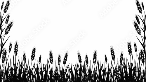 Vector silhouette illustration of wheat stalks and grass forming a border against white background space