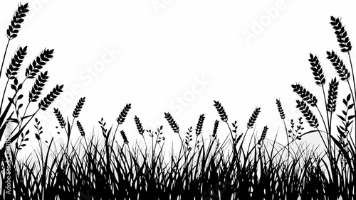 Vector silhouette of wheat and grass plants in a field against a white background creating a nature scene image