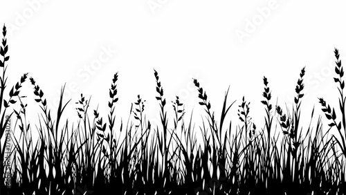 Vector silhouette of grass and weeds in a field against a white background creating a natural scene view image