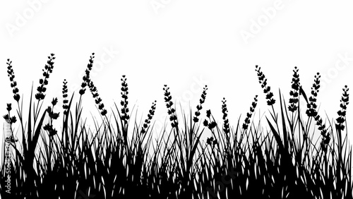 Vector silhouette illustration of a field with tall grass and flowers against a white background in black and white