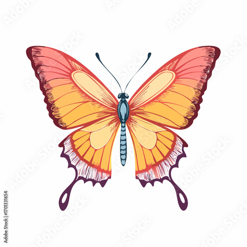 Butterfly Colored Hand Drawn Illustration