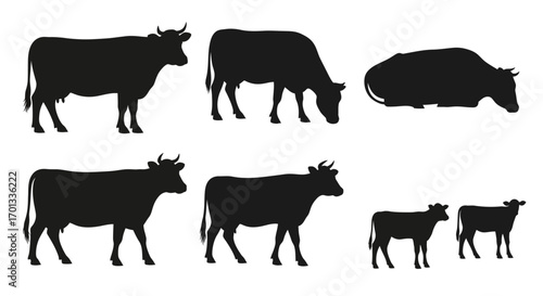 Black silhouettes of cows and calves in various poses, including standing, grazing, and resting.