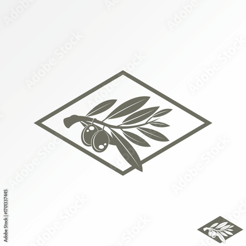 Logo design graphic concept creative premium vector stock image top sell stalk virgin olive fruit leaf raw cooking tasty garden farmer organic nature