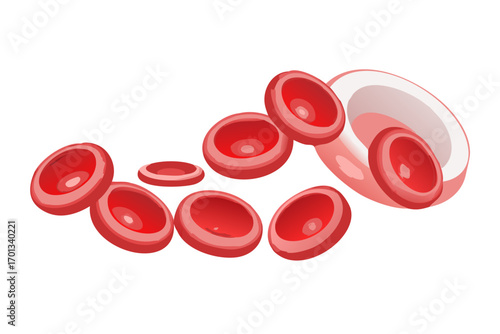 Red blood cells illustration