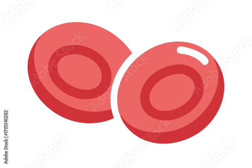 Two red blood cells