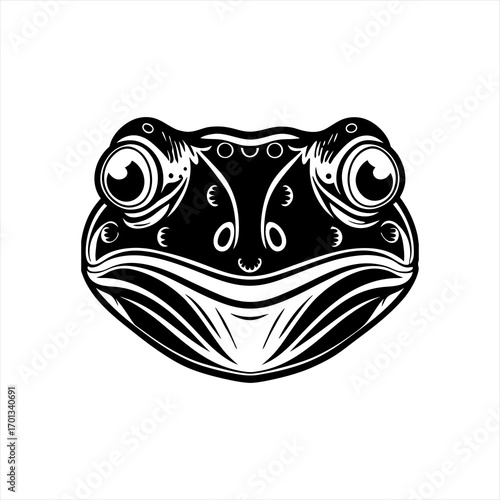 Black and white drawing of a frog face