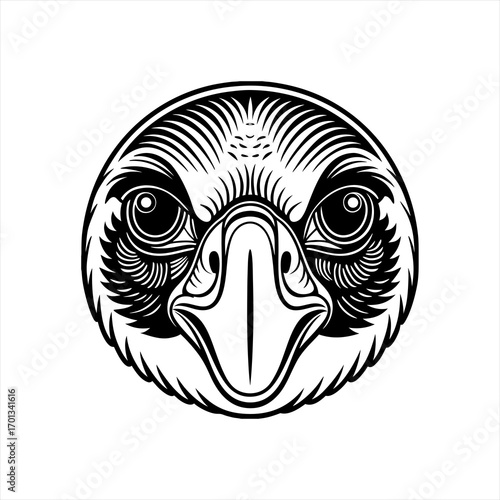 Eagle head in a circle, vintage line illustration