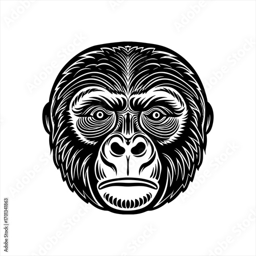 Illustration of a gorilla head in black and white
