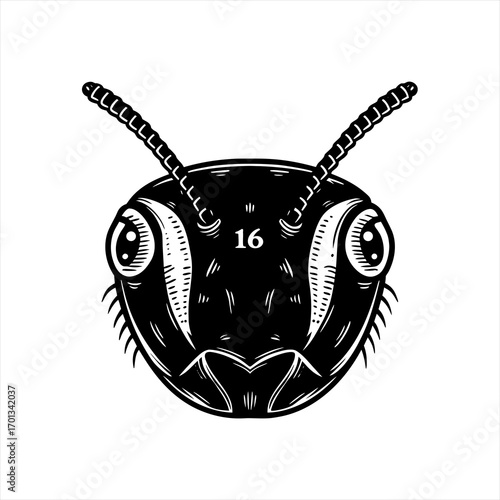 Ant head with number 16 in black and white