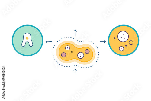 Abstract representation of cell division and reproduction with amoebalike organism