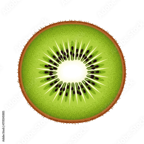 A detailed illustration of a kiwi fruit slice, showcasing its vibrant green flesh, black seeds, and fuzzy brown skin against a white background