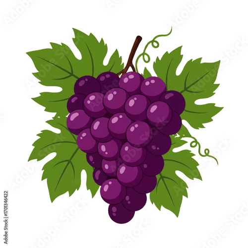 Cartoon illustration of a bunch of purple grapes with green leaves on a white background