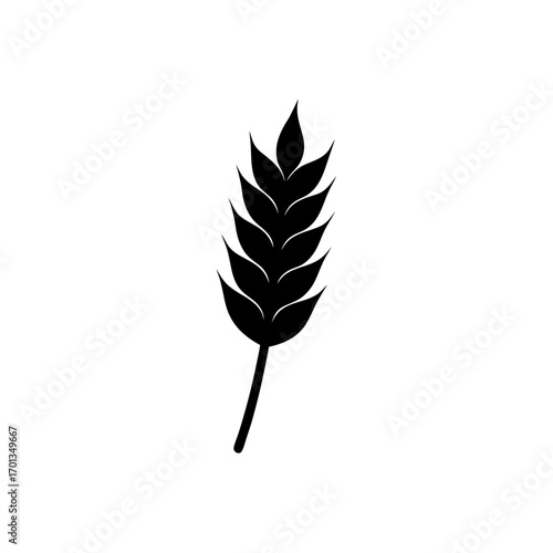 Illustration of a wheat stalk in black ink on transparent background