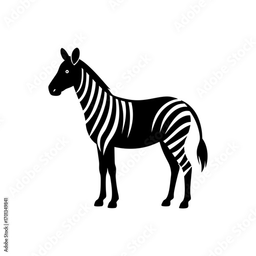 zebra vector illustration