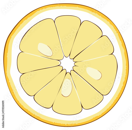 Illustration of a Cut Lemon Slice on White Background with Yellow Pulp and Peel