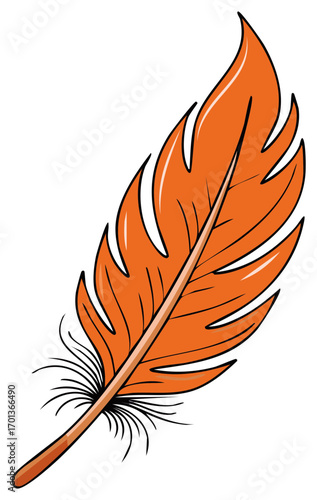 Bright orange feather with black outline and fluffy tip