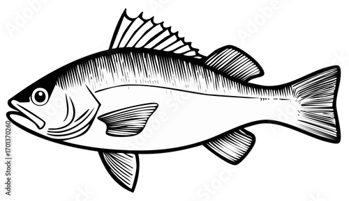 Artistic Black and White Illustration of a Bass Fish