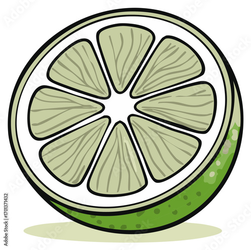 Lime Slice Illustration, Cross Section of Fresh Citrus Fruit, Vector Graphic Element, Healthy Food