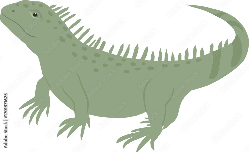 Naklejka premium 이구아나 파충류