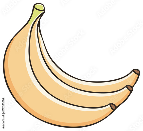 Ripe yellow banana bunch illustration healthy tropical fruit snack food