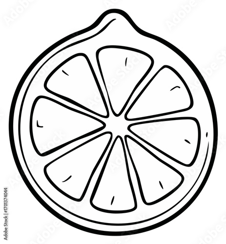Simple Line Art Slice of Citrus Fruit With Segments and Pith