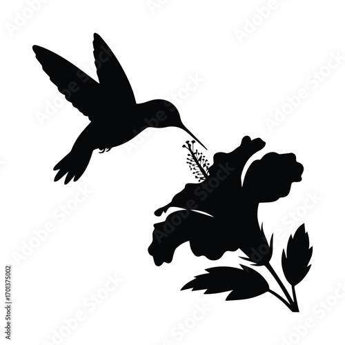 Hummingbird silhouetted drinking nectar from a vibrant red hibiscus flower with delicate details