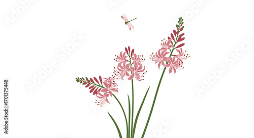 Elegant pink flowers and a dragonfly dance in harmony on a white canvas