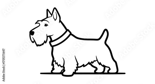 A charming line art illustration of a white scottish terrier standing proudly outdoors on a simple ground line