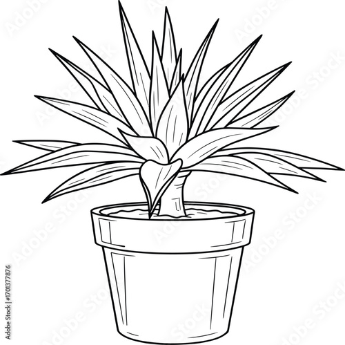 Black and white potted plant illustration, botanical line art, indoor houseplant sketch, minimalist foliage drawing, succulent decor, nature design element