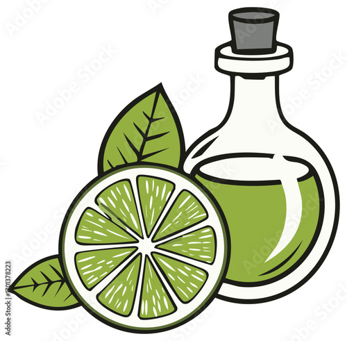 Fresh lime slice with green leaves and essential oil bottle containing natural liquid vector illustration