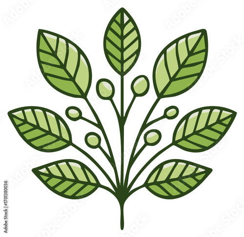 Green Floral Stem with Leaves and Berries, Foliage, Nature, Ornament, Decoration