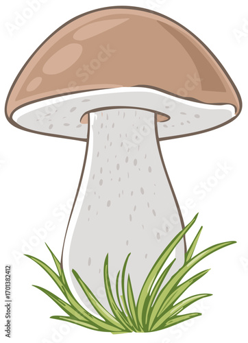 Cartoon Mushroom Growing in Green Grass Illustration