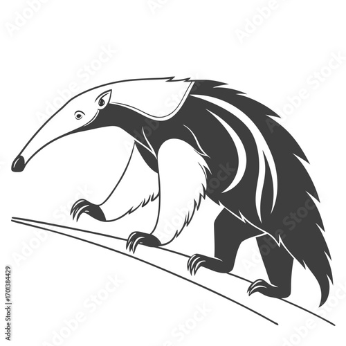 Black and white giant anteater walking on a branch wildlife illustration