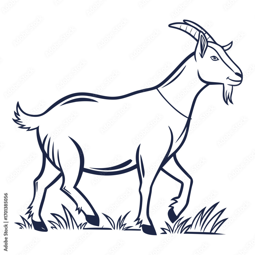 Fototapeta premium Stylized black and white walking goat farm animal illustration