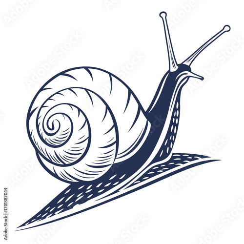 Stylized Vintage Engraved Snail Crawling Upwards Illustration