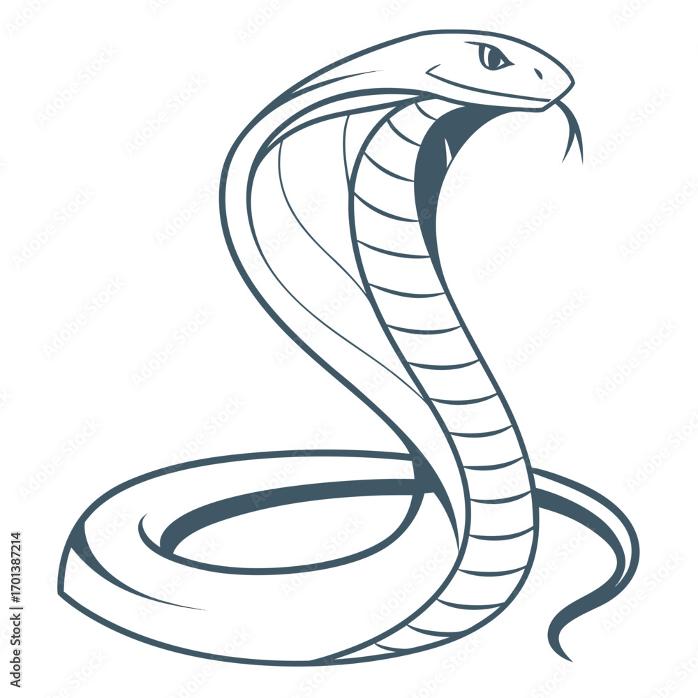 Fototapeta premium Elegant Cobra Illustration Line Art Design