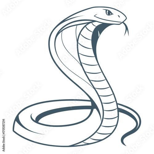 Elegant Cobra Illustration Line Art Design