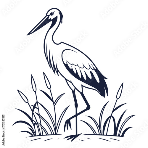 Elegant stork illustration standing in marsh with reeds